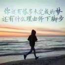 简单的木棉