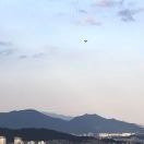 liangsheng