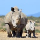 易百纳技术社区