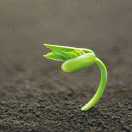 易百纳技术社区