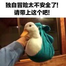兔儿脑壳