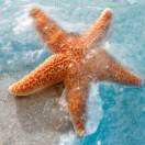 EdrawMax user profile image