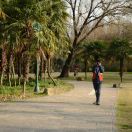 EdrawMax user profile image