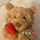 丽