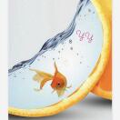 用户70435797的头像-优育邦