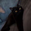 Profile picture of mimi