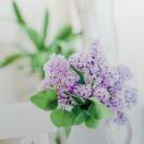李先生的头像