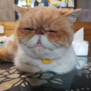 逆风一蓑翁
