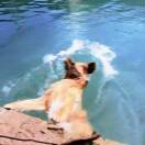 床头的小熊为你的头像-梦马考研