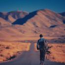 即将拥有人鱼线的富贵猫