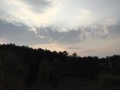 kkjli的头像