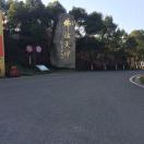 金火