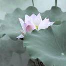 hopeyl2的头像-听书迷