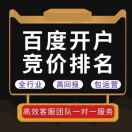 百度服务商