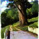 Constant的头像-日本！日本语