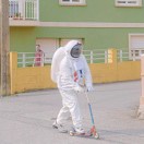 扬歌行
