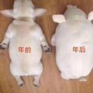 總有一天