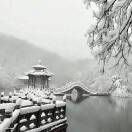 黄身豪