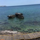 券妈妈会员: 高尚