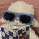 白橙树的头像-创薯资源