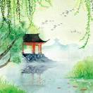 符先生的头像