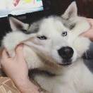 我想你笑