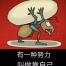 阿五的头像
