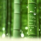 3班 梁芬