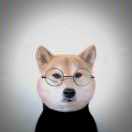 Jerry@蘇杰