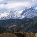 丰乐  白草  民乐