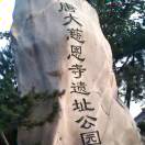 雷女士的头像