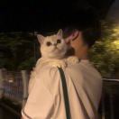 小歪    　　　　　　༽