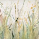 Fiona_784