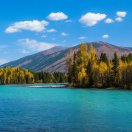 阳光小海的头像-传承国学正统持焰学堂