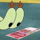 qiukuidi的头像-棉花糖会员站