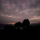 黄刚的头像-秀琴曲谱网