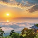 Aㅤㅤㅤ的头像-VAM®克苏恩资源社区