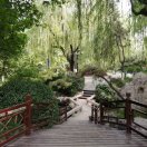 闫莉