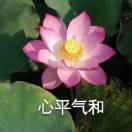 邵梦迪