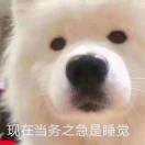 诺丁汉求租