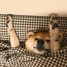 用户66454440的头像-音创社AI SonoCraft丨科技改变未来