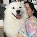 伦敦求租