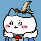 陈虹宇