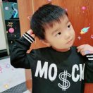 杨淑红13882408981