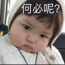 邵先生的头像