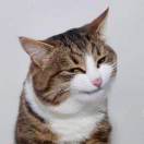 huanjinglin's Avatar