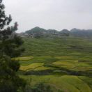 香水洲