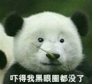 破船一条-风行者社区