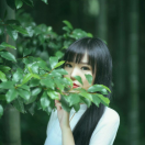 清弄的头像