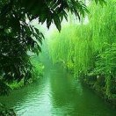 真诚